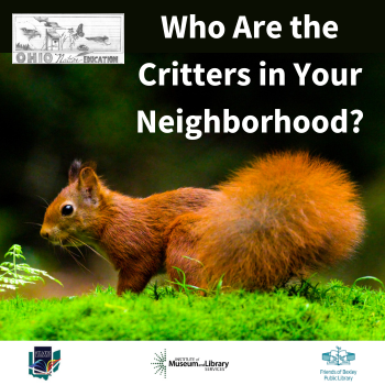 Image for event: Who Are the Critters in Your Neighborhood?