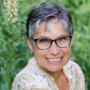 Image for event: Using Native Plants in Nooks and Crannies with Debra Knapke